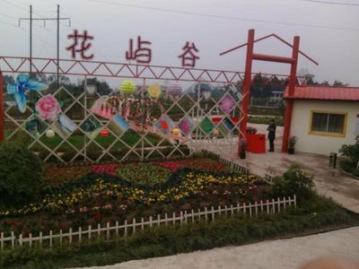 广安市花屿谷种养殖专业合作社 - 阿土伯企业名录